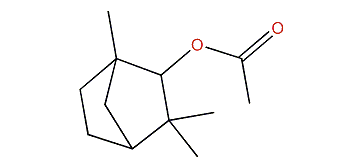 1,3,3-Trimethylbicyclo[2.2.1]hept-2-yl acetate